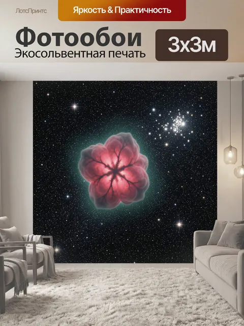 Фотообои Космическая туманность в форме цветка