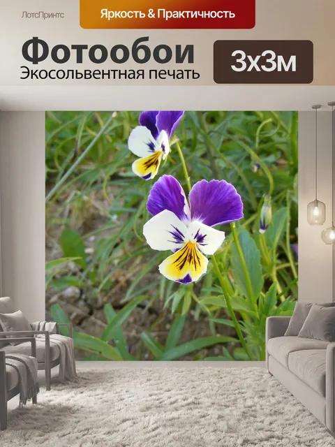 Фотообои Цветы