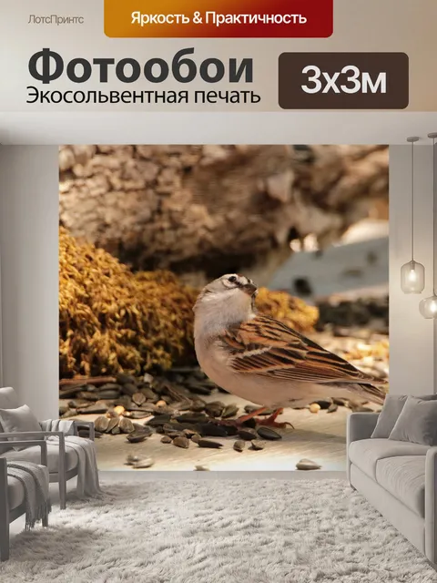 Фотообои Чиппинг воробей на столе