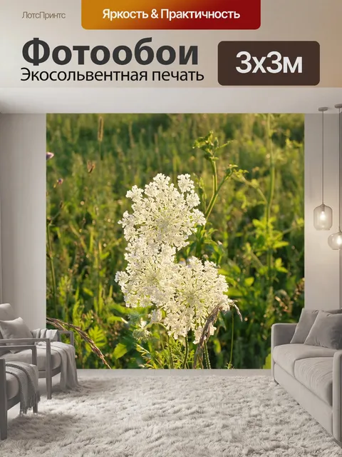 Фотообои Трава