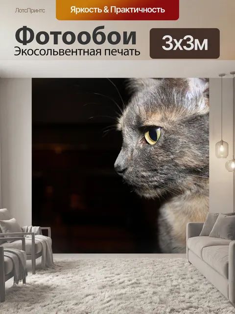 Фотообои Кошка
