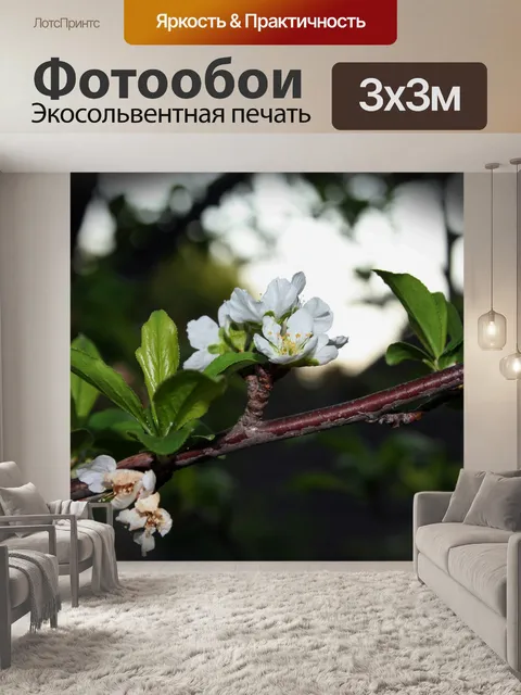 Фотообои Белые цветы