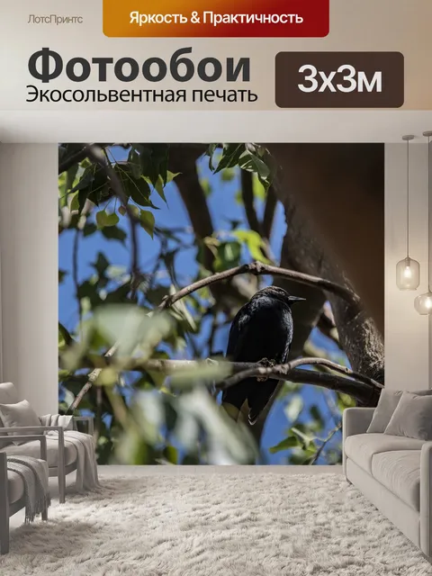 Фотообои Черная ворона в дереве
