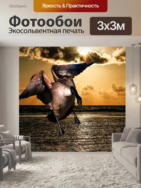 Фотообои Животное