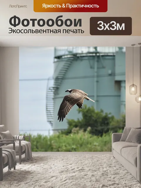 Фотообои Животное