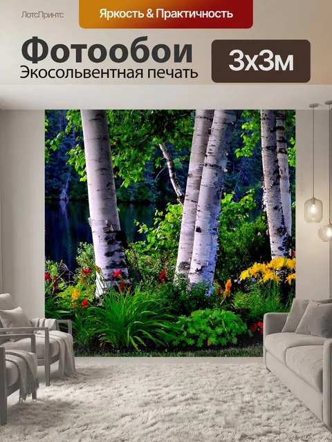 Фотообои Березы