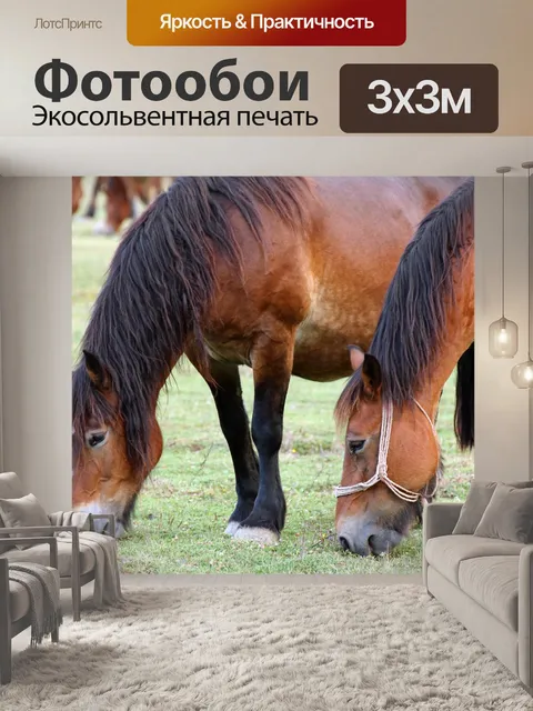 Фотообои Лошади