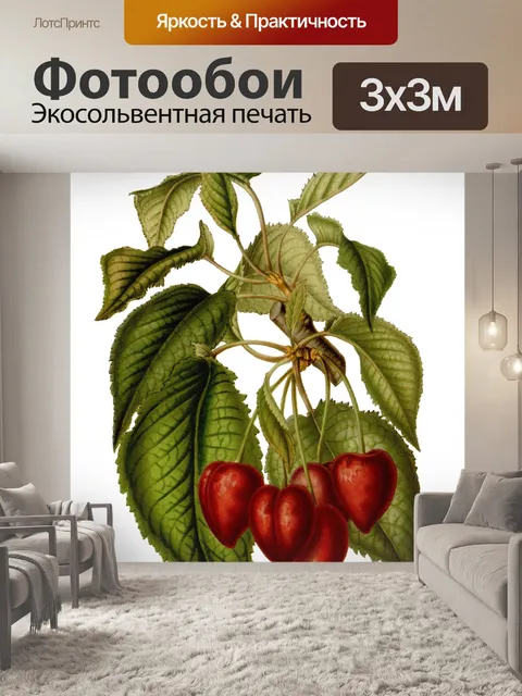 Фотообои Вишневый фрукт винтажное искусство