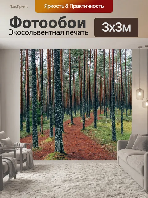 Фотообои Лесные деревья
