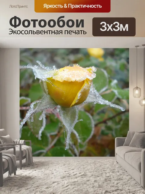 Фотообои Природа