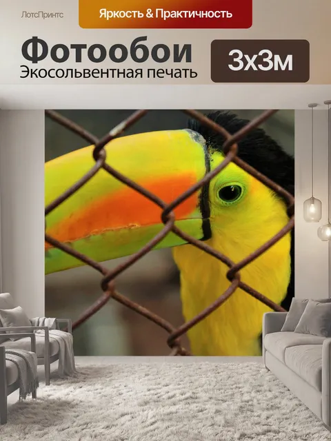 Фотообои Тукан