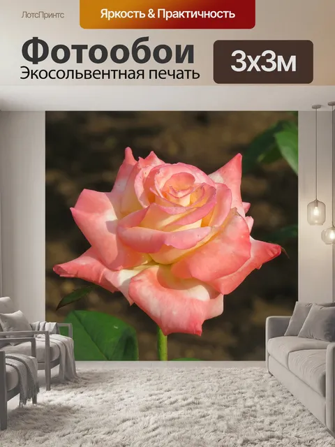 Фотообои Цветы