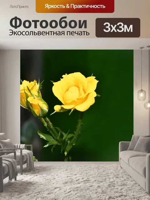 Фотообои Розы