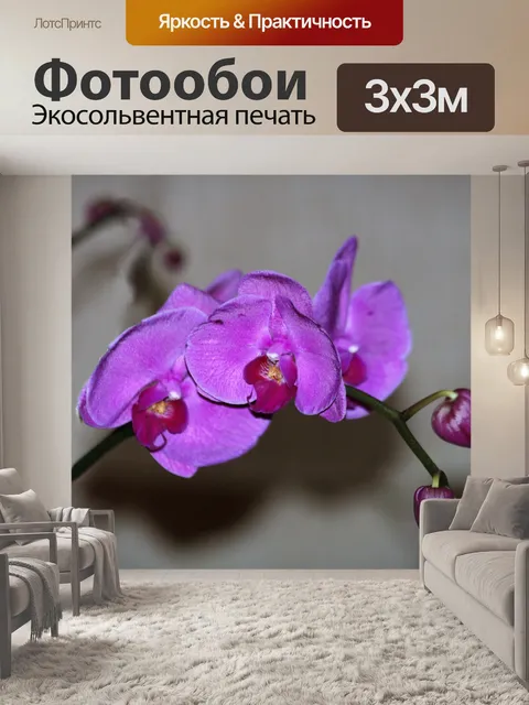 Фотообои Фиолетовые орхидеи на сером фоне