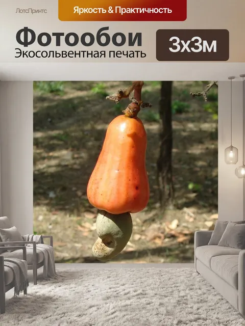Фотообои Кешью