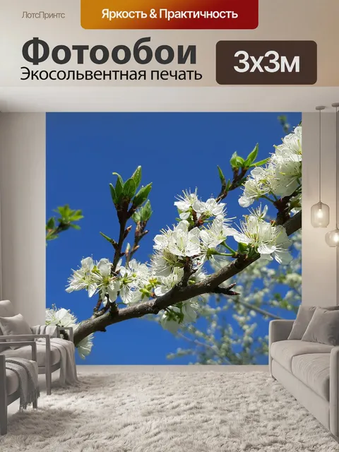 Фотообои Цветы
