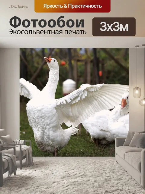 Фотообои Гуси