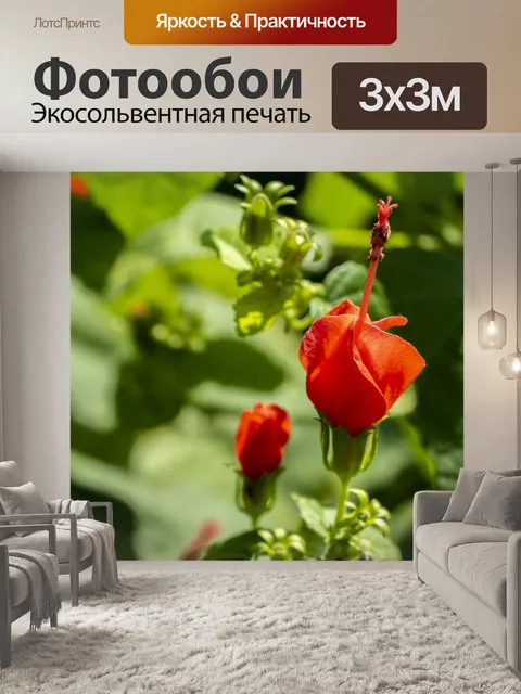 Фотообои Цветы