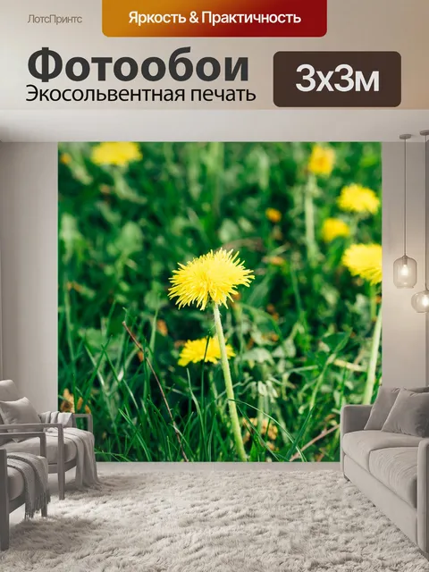 Фотообои Одуванчик