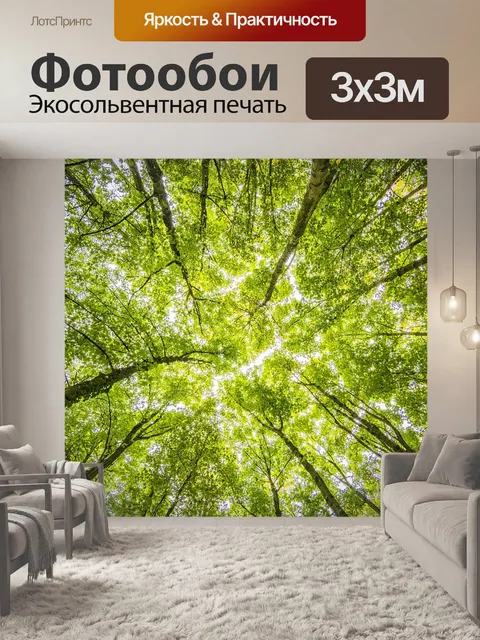 Фотообои Лес