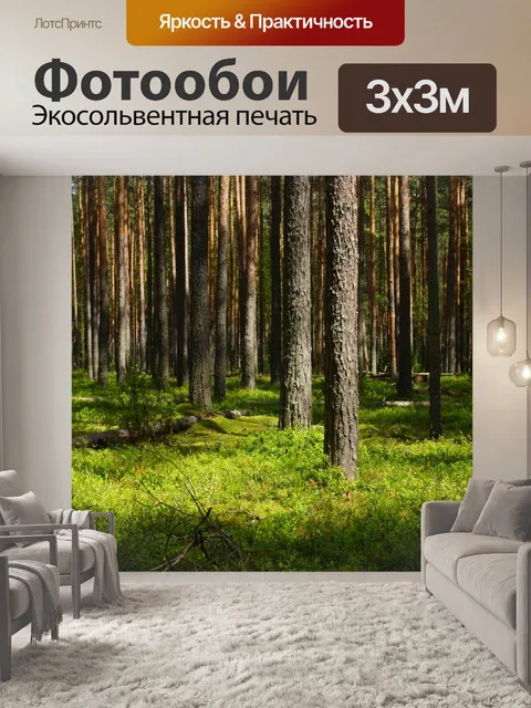 Фотообои Лес