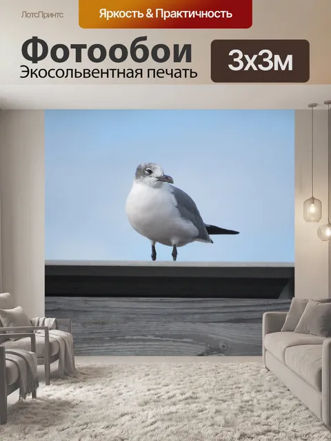 Фотообои чайка