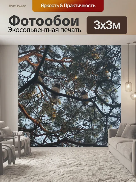 Фотообои Дерево