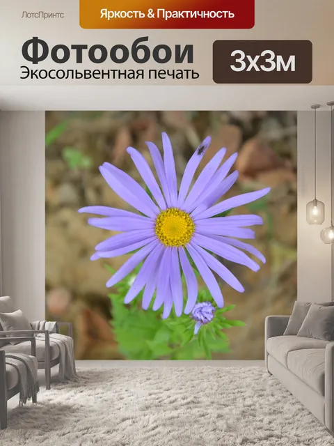 Фотообои Цветок