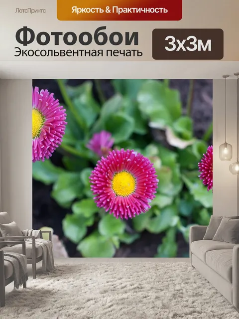 Фотообои Цветок