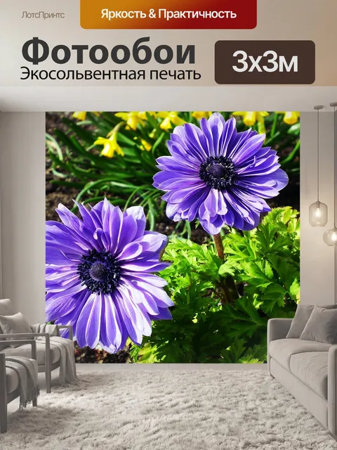 Фотообои Цветы