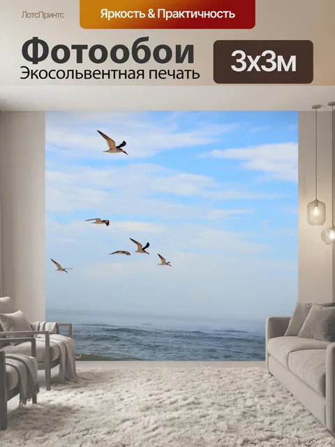 Фотообои Чайки летают
