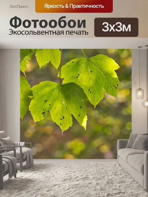 Фотообои Листья