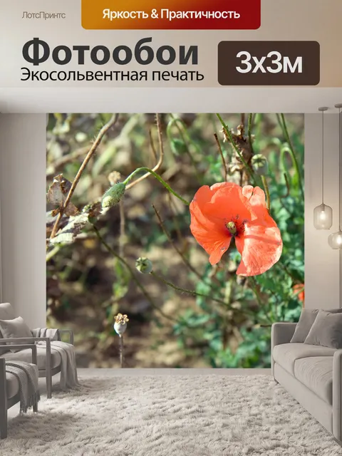Фотообои Мак цветок