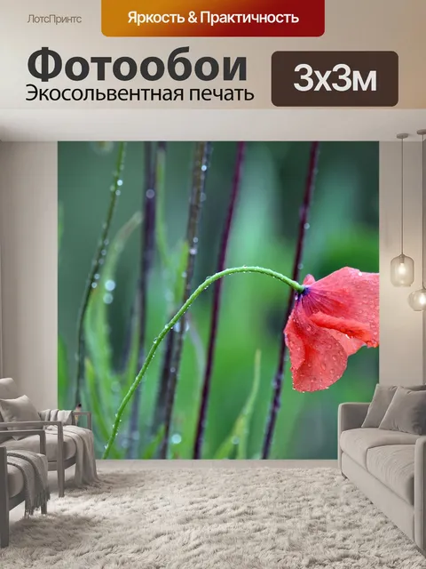 Фотообои Мак