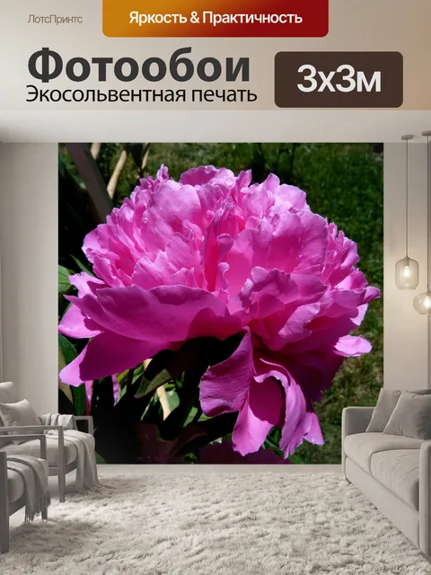 Фотообои Цветы