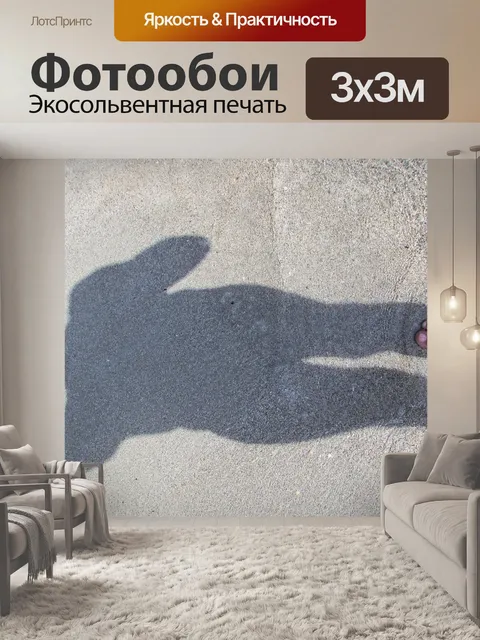 Фотообои Тень