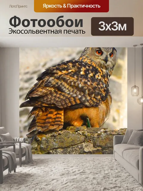 Фотообои Сова