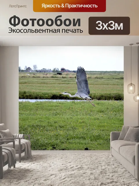 Фотообои Цапля