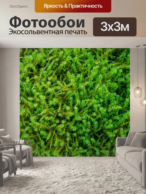 Фотообои мох