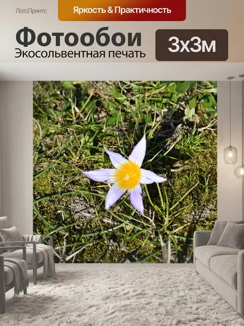 Фотообои Цветок