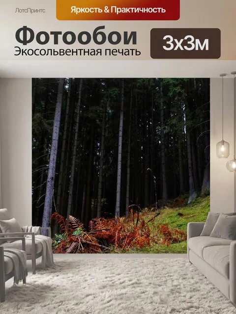 Фотообои Поляна