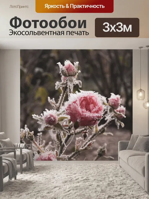 Фотообои Роза
