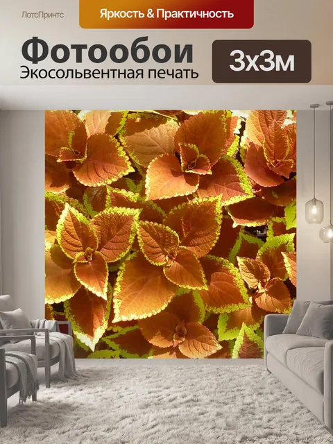 Фотообои Природа