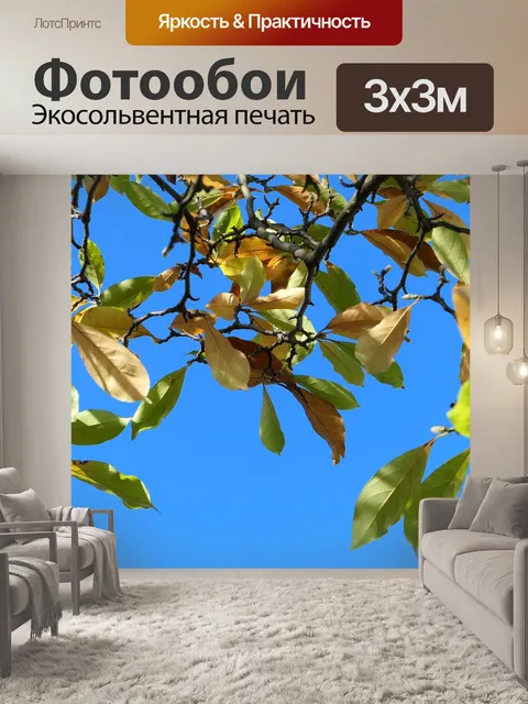 Фотообои Листья