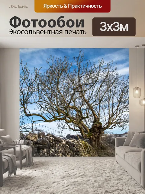 Фотообои дерево
