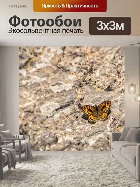 Фотообои Бабочка
