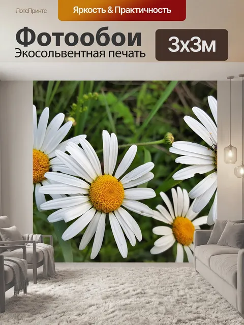 Фотообои Маргаритка