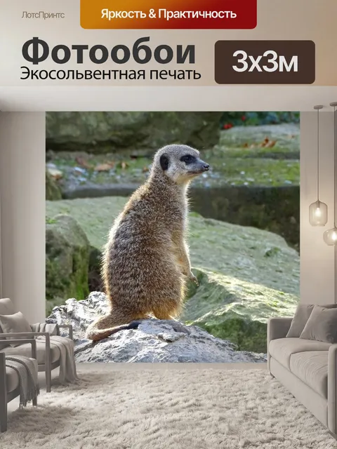 Фотообои Животное