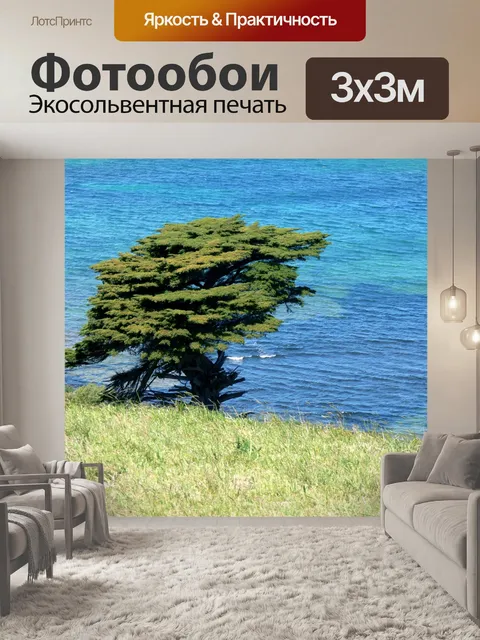 Фотообои Дерево на краю воды