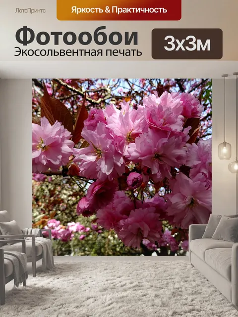 Фотообои Весеннее вишневое дерево